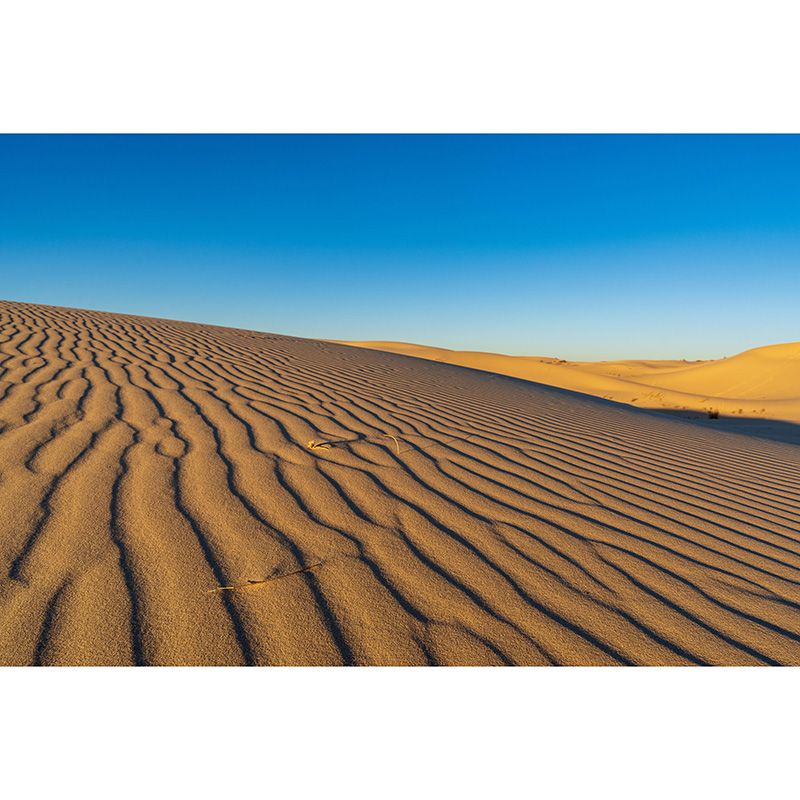 Eco-friendly Photography Mural Wallpaper Desert Sitting Room Wallpaper