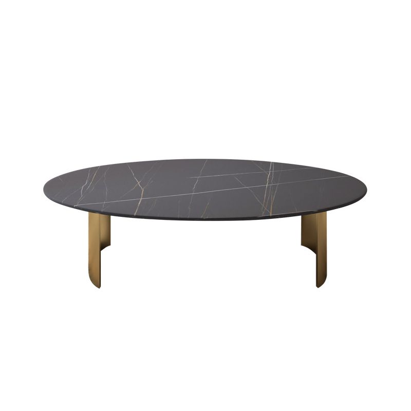 Modern Style Oval Coffee Table with Metal Steel/black/gold Base