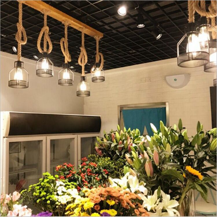 Birdcage Industrial Island Light Hemple d'éclairage de corde pour le café