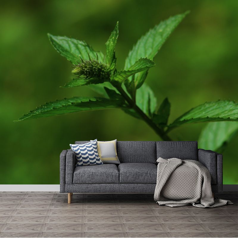 Green Mint Wall Covering for Living Room Moisture Resistant, Made to Measure