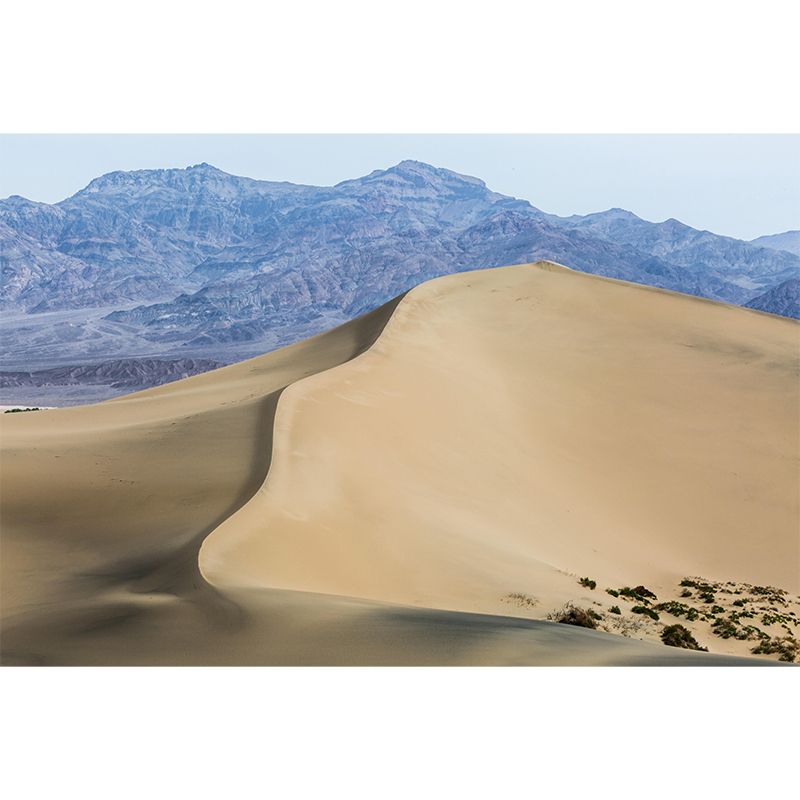 Customized Barren Desert Mural Photography Environment Friendly for Sleeping Room