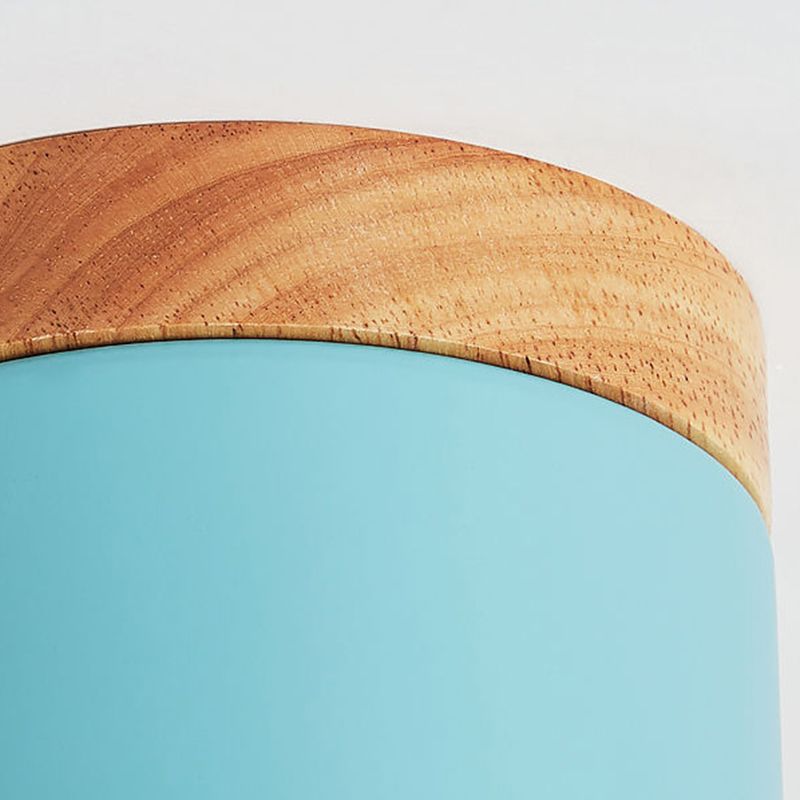 Plafonnier de forme cylindrique de style moderne en métal à 1 lumière pour le salon