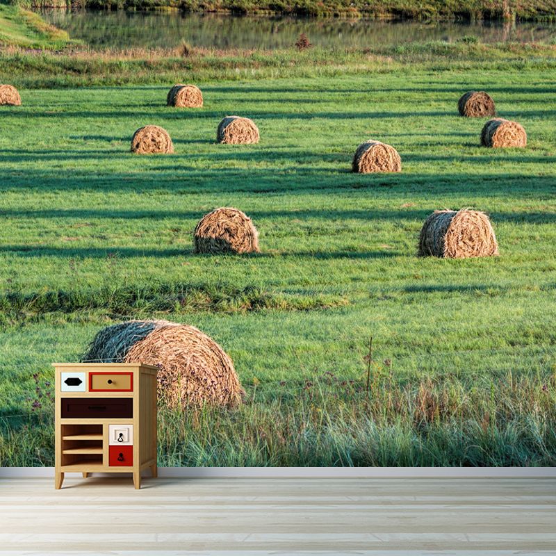 Customized Straw Bale Landscapes Mural Environment Friendly for Sleeping Room