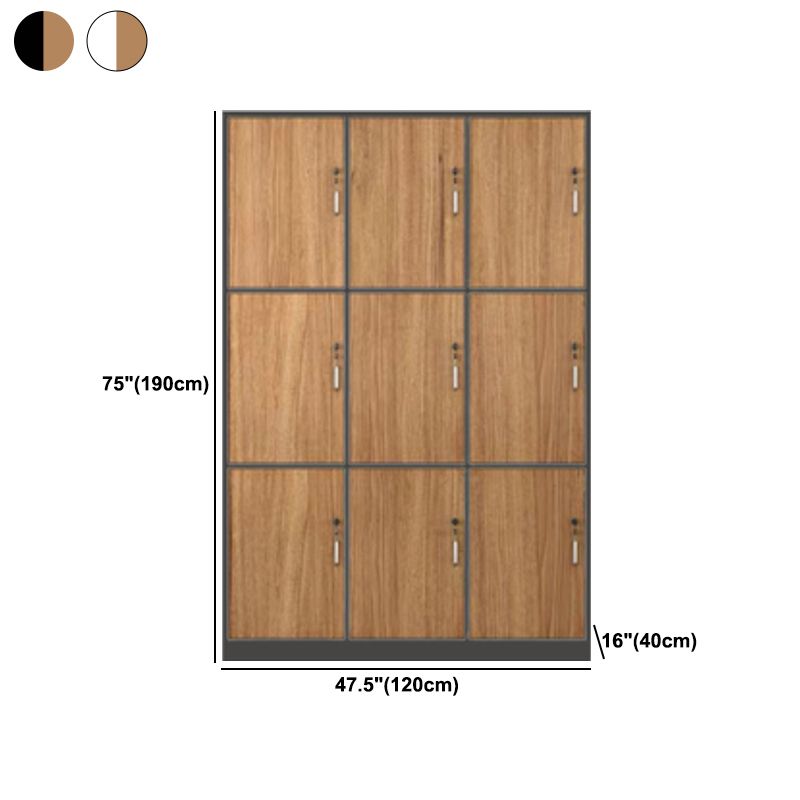 Contemporary Brown Storage Cabinet Manufactured Wood Hinged Door Cabinet