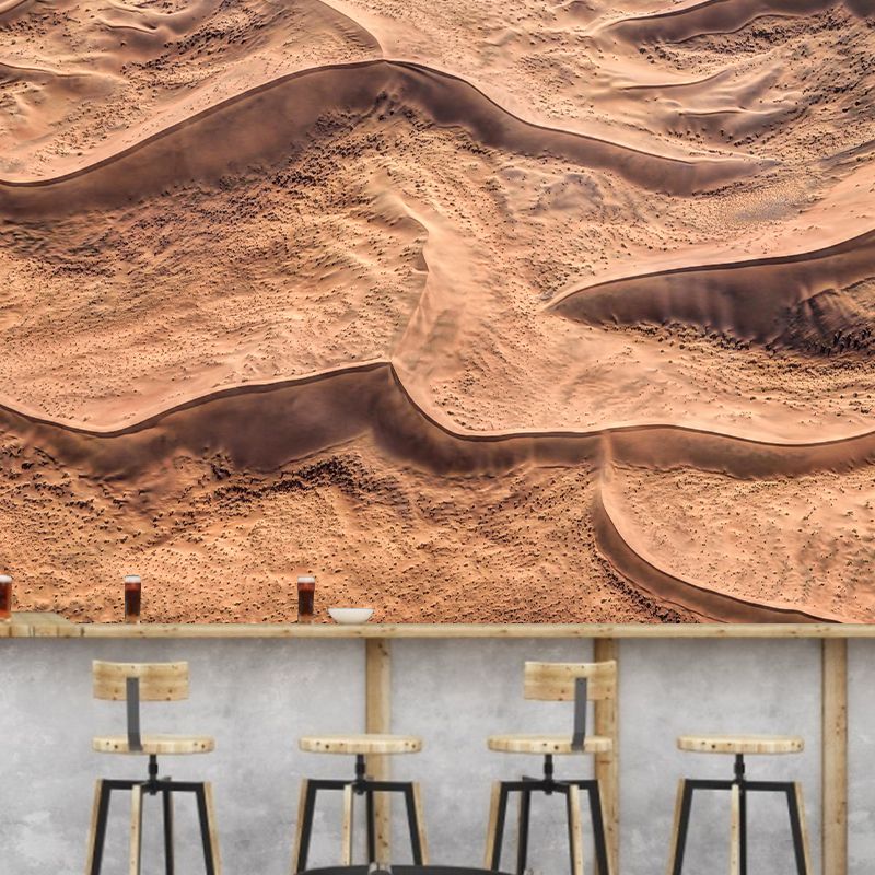 Environmental Mural Landscapes Stain Resistant Desert Photography Wall Mural