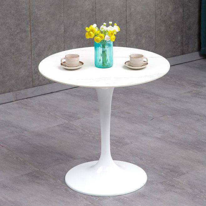 Modern Style Sintered Stone Scratch Resistant Dining Table Single Pedestal Base Round Table for Home