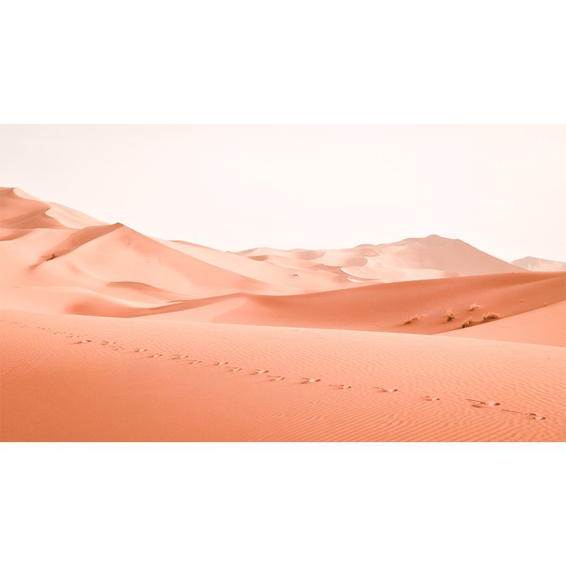 Photography Stain Resistant Mural Wallpaper Desert Scenery Sleeping Room Wall Mural