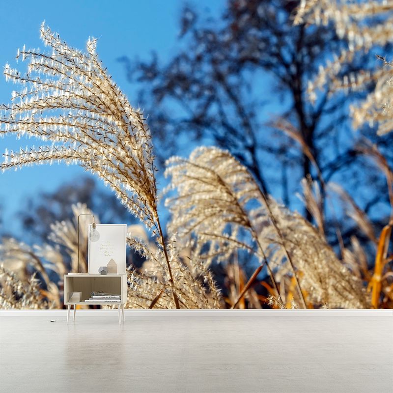 Reed Wall Mural Decal Customized Size Minimalist Wall Art for Meeting Room