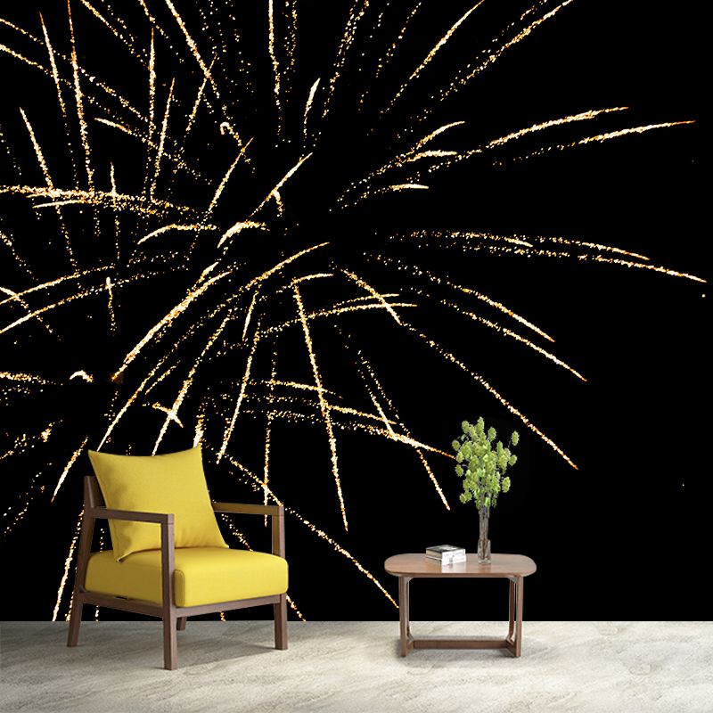 Gorgeous Fireworks Wall Murals Contemporary Wall Art for Bedroom Living Room