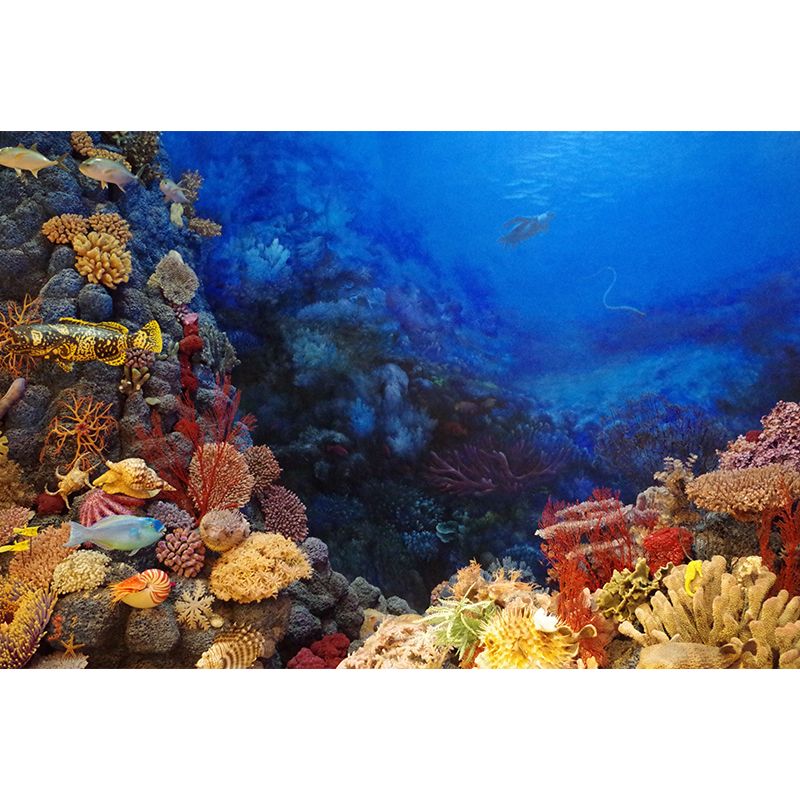 Beautiful Undersea World Tropics Wall Mural in Blue Underwater Scenery Wall Decor for Bedroom
