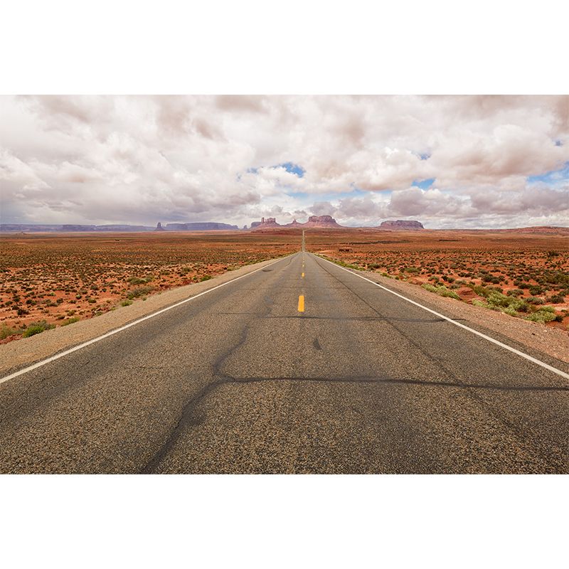 Full Size Photography Modern Mural Wallpaper with Highway and Grassland in Light Color