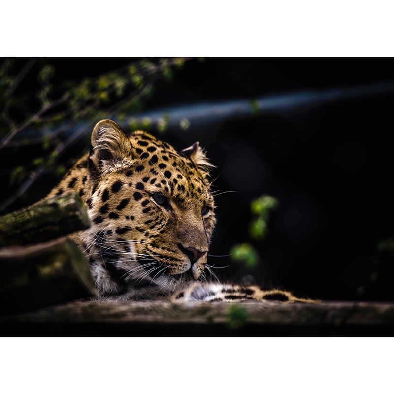 Forest Wildlife Wall Covering Moisture Resistant Mural Personalized Size