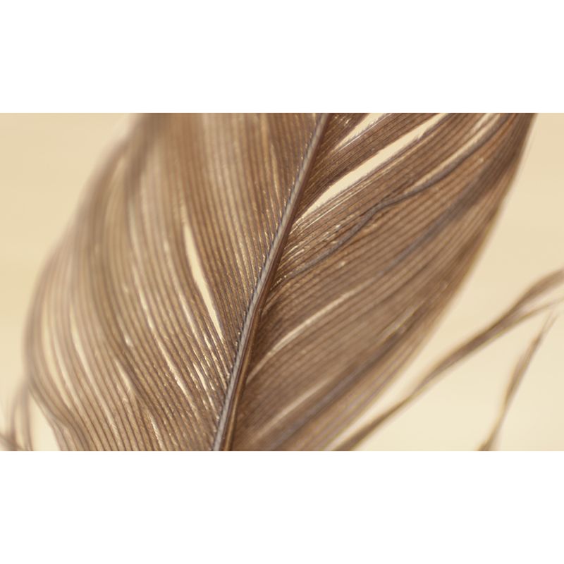 Simple Feather Mural Wallpaper for Gust Room, Personalized Size Available