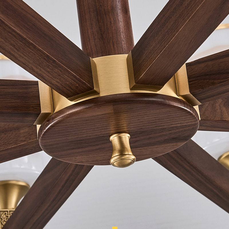 Cylinder Chandelier Light Fixtures Modern Multi-Head Brown Chandelier Pendant Lamp with Glass Shade