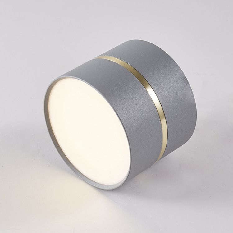 Modern Minimalist Metal Flush Mount Plafond Lamp Cilinder Shape LED Flush Mount Lighting voor slaapkamer