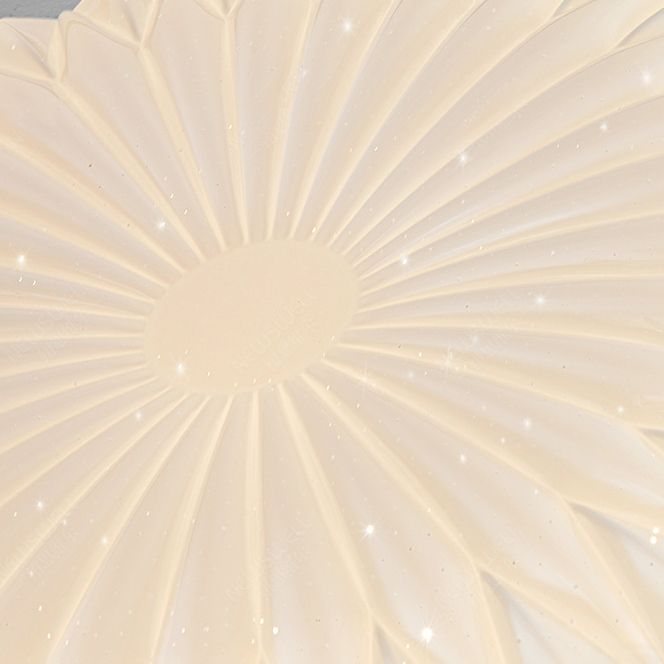Modernism Beige Single Flush Mount Lighting Round LED Ceiling Light with Acrylic