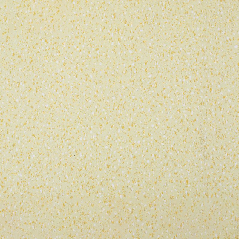 Indoor Flooring Peel and Stick Coiled PVC 200cm Waterproof Vinyl Floor