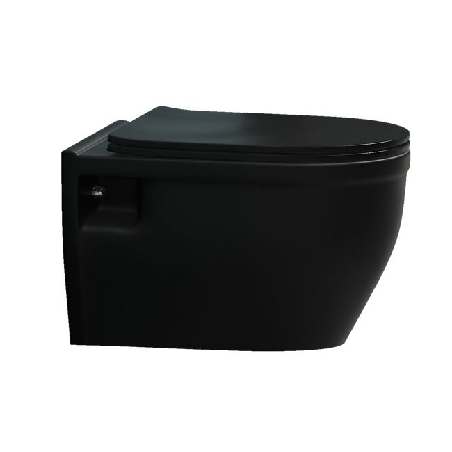 Contemporary Flush Toilet Wall Mount One-Piece Toilet Porcelain Toilet Bowl