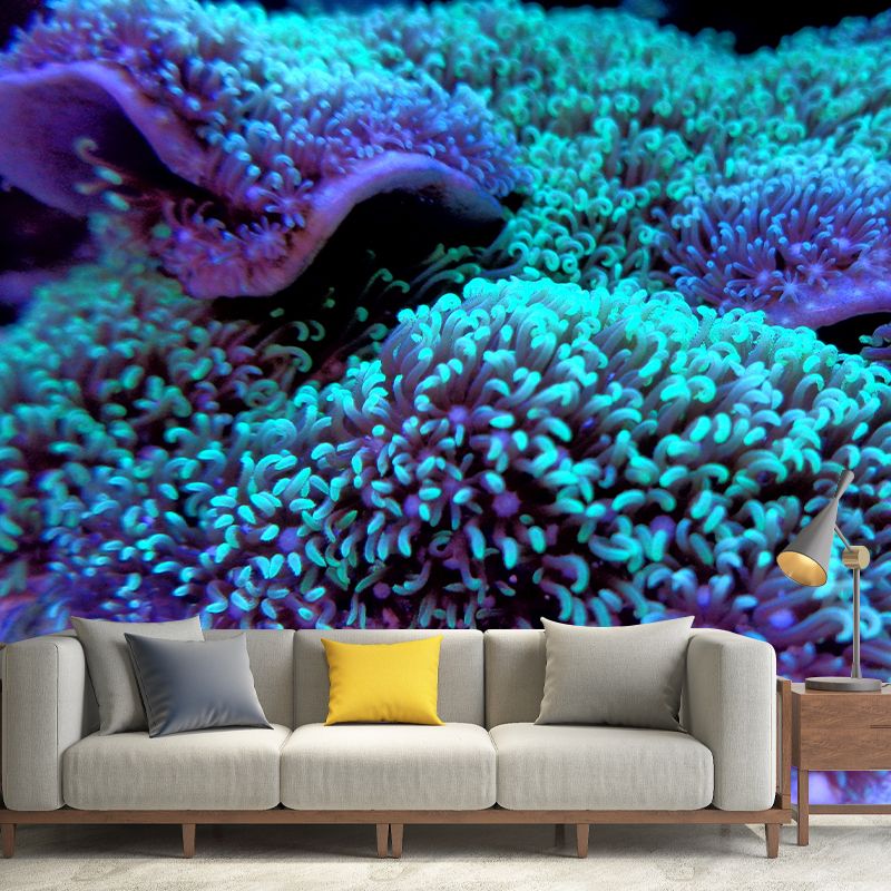 Sea Creatures Wall Mural for Sleeping Room, Water Resistant, Made to Measure