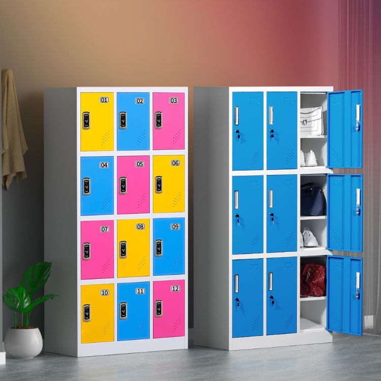 Metal Matte Finish Cabinet Contemporary Storage Cabinet with Hinged Door