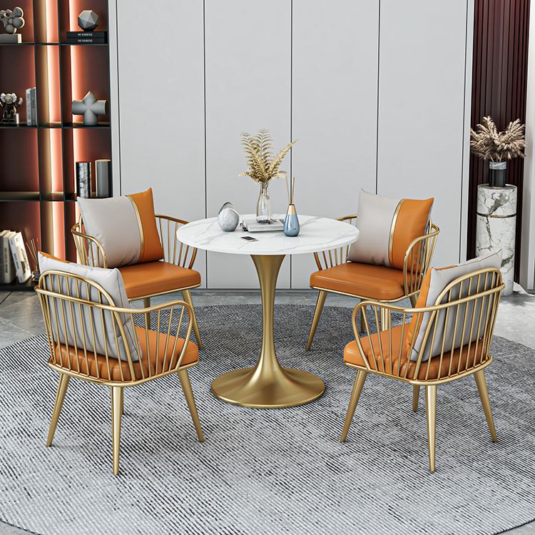 Glam 1/2/3/4/5 Pieces Sintered Stone Dining Set Dining Furniture Set /Separate Items