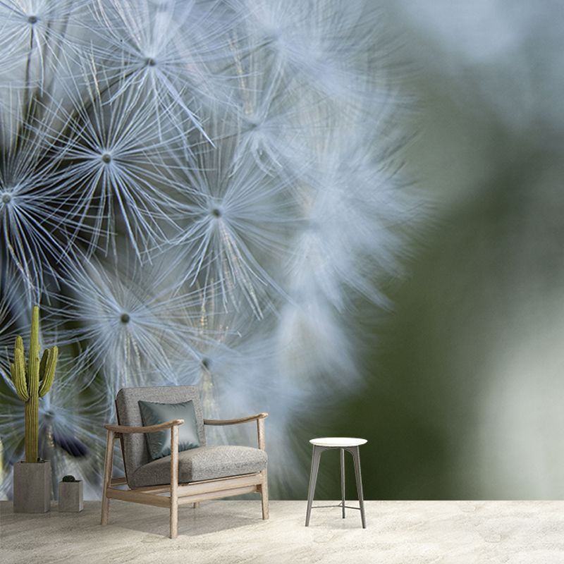 Seed Dandelion Full Size Wall Covering for Reading Room, Customized Size Available