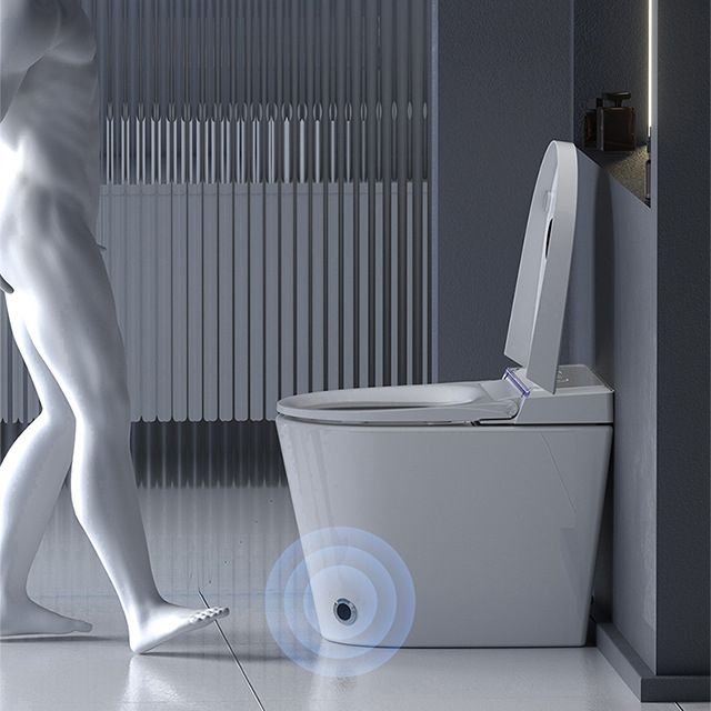 Modern Floor Mounted White Urine Toilet Siphon Jet Toilet Bowl with Toilet Seat