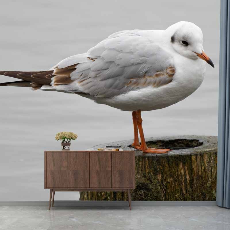Horizontal Photography Seagull Wall Mural Decorative Mildew Resistant for Living Room