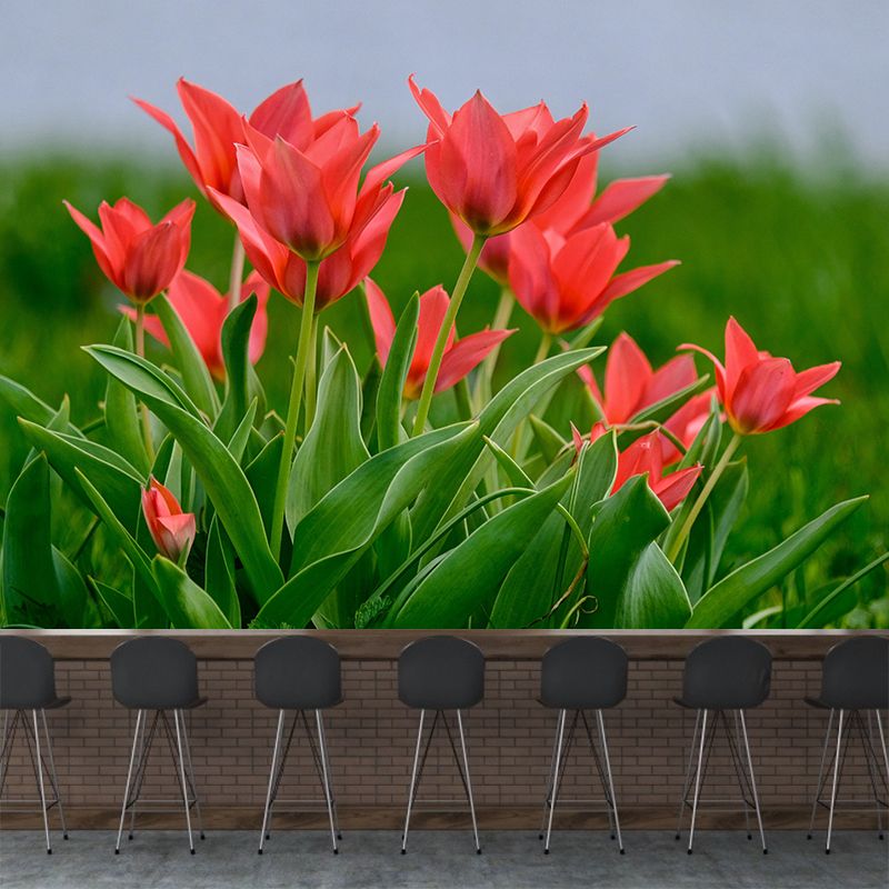 Tulips Wallpaper Mural Decal Customized Modern Wall Covering for Bedroom