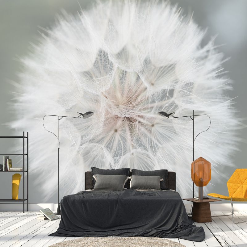 Seed Plants Wall Mural for Reading Room Eco-friendly Wall Covering, Customized