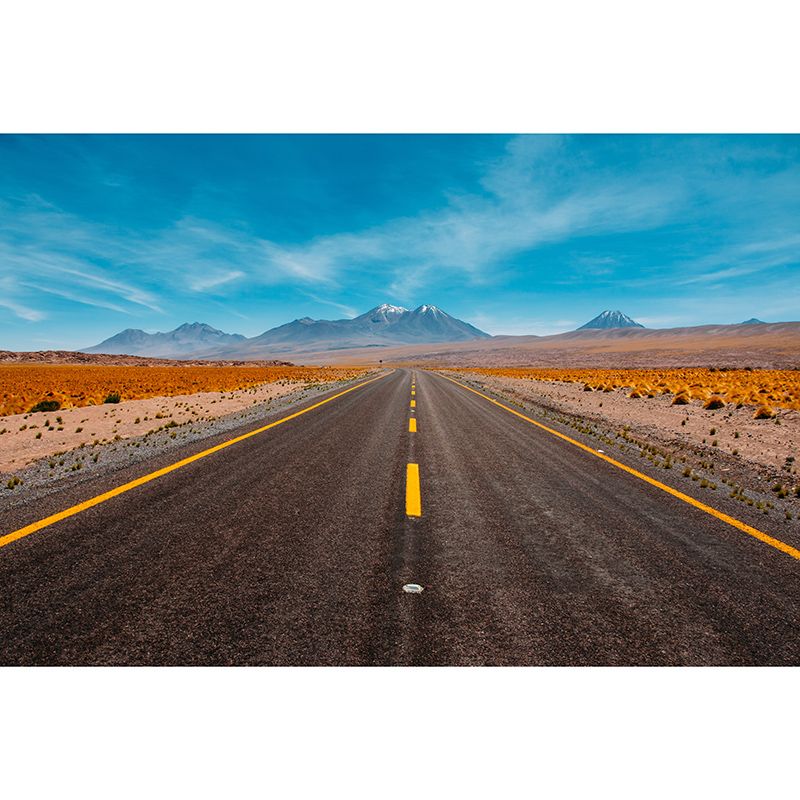 Modern Style Mural Wallpaper Highway Photography Indoor Wall Mural