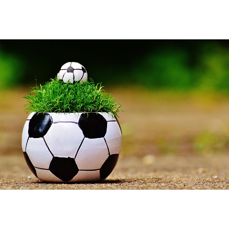 Girls Boys Bedroom Wall Murals Moisture Resistant Home Decor, Custom Size Available