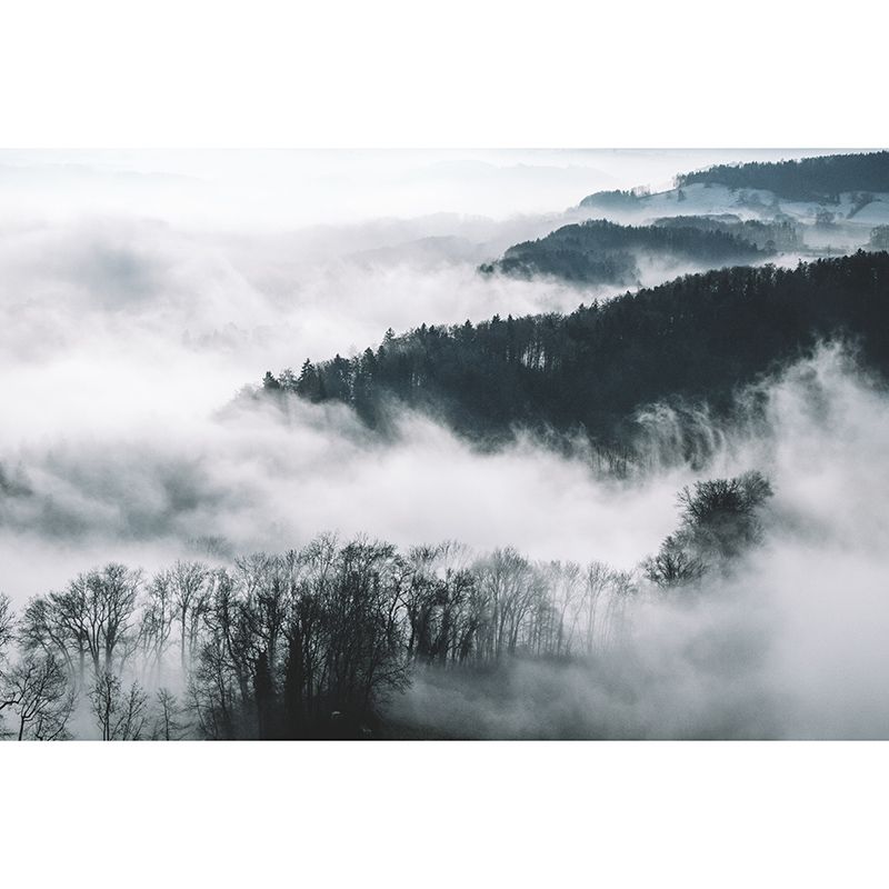 Washable Stain Resistant Mural Wallpaper Quiet Forest Indoor Wall Mural