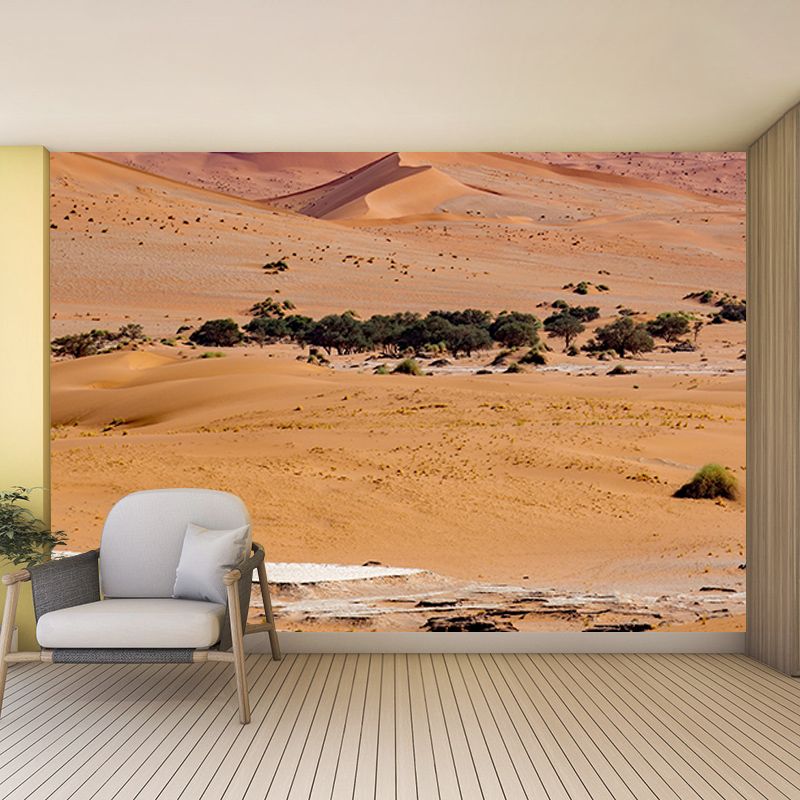 Modern Style Desert Mural Wallpaper Mildew Resistant Wall Decor