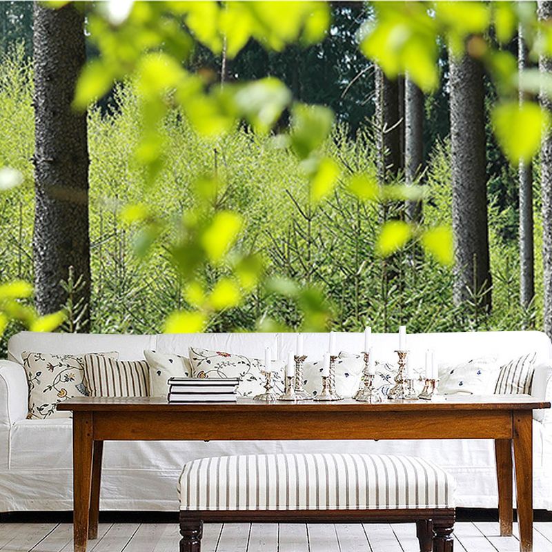 Decorative Wall Mural Wallpaper Forest Photography Sitting Room Wall Mural