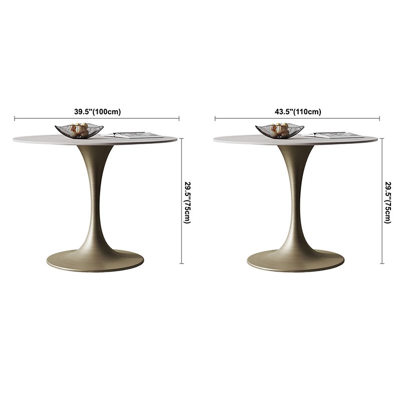 Round Tulip Base Dining Site Table Traditional Luxury Dinette Table for Home
