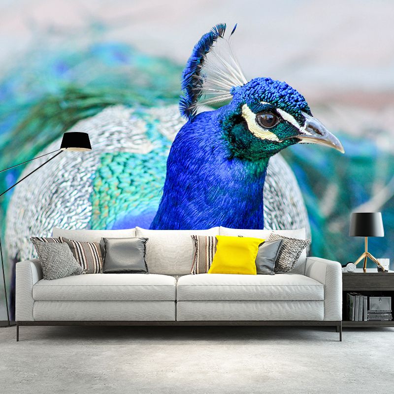 Tropical Peacock Photo Moisture Resistant Mural Decal Modern Wall Decor for Bedroom