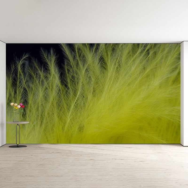 Stain Resistant Bird Feather Mural Wallpaper Decorative Wall Art above Bed