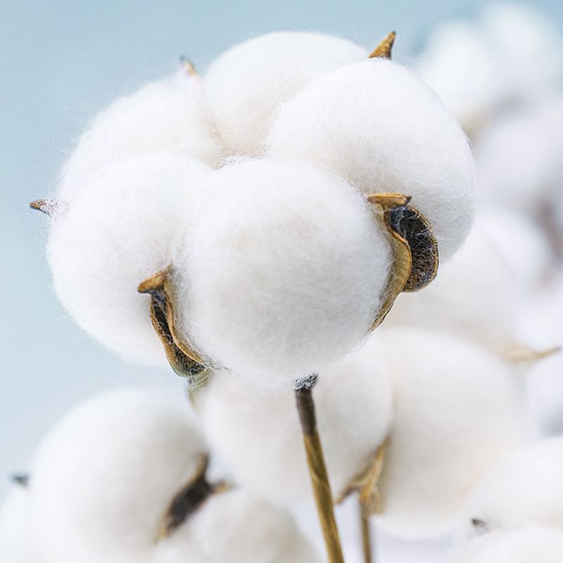 Trendy Fitted Sheet Floral Patterned Ultra-Soft Cotton Non-Pilling Fitted Sheet