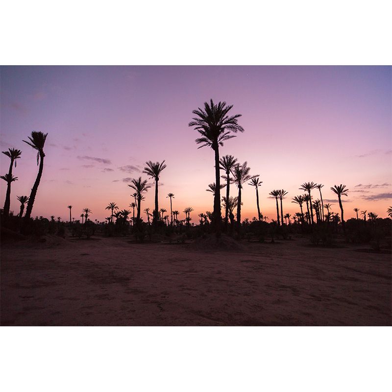 Modern Palm-Trees Landscape Mural Decorative Painting Bedroom Mural Painting