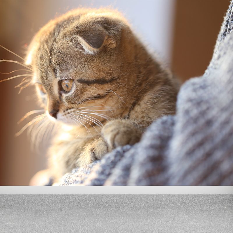 Full Size Cat Wall Covering for Sitting Room Water Resistant Wall Mural Decal