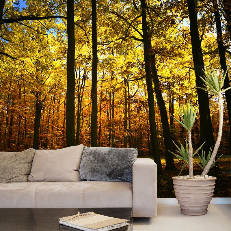 Modern Forest Scenery Mural for Sitting Room Home Decoration, Moisture-Resistant