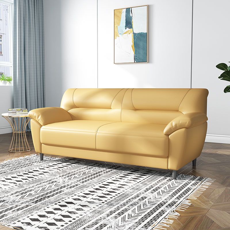 Polish Finish Sofa Pure Color Pillow Top Arm Sofa For Bonus Room