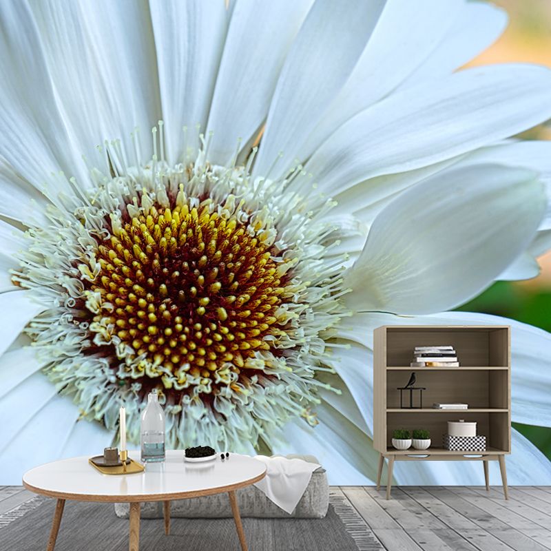Dahlia Flower Simple Mural for Bedroom Stain Resistant, Made to Measure