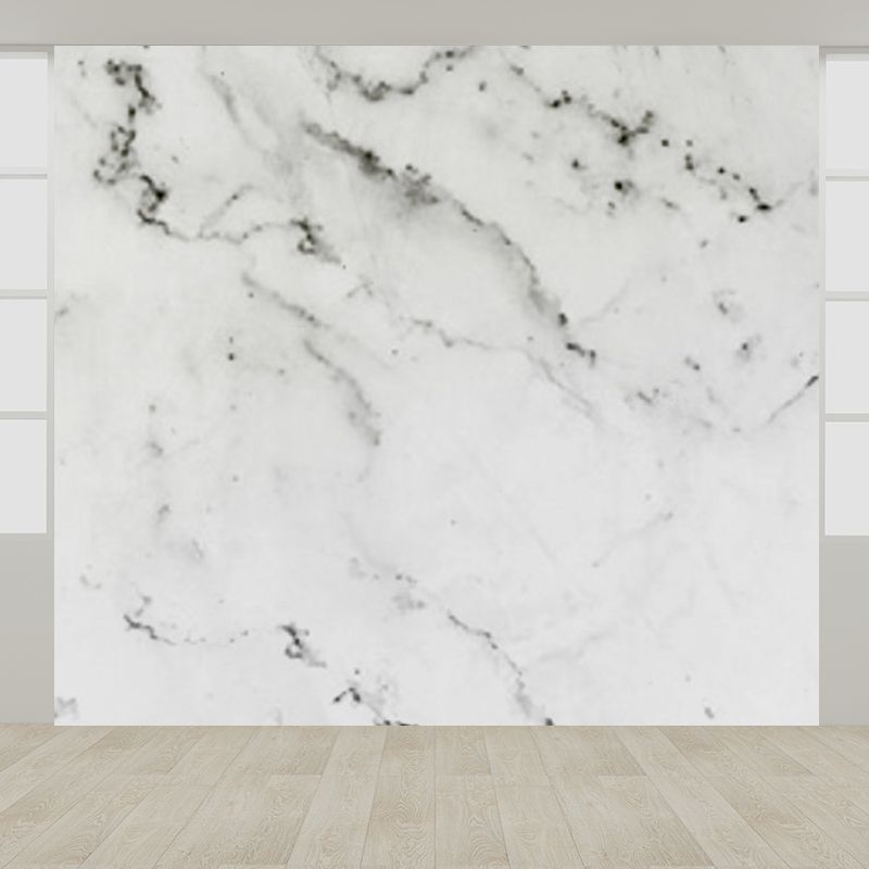 Light Color Abstract Print Mural Wallpaper Moisture-Proof Wall Art for Dining Room