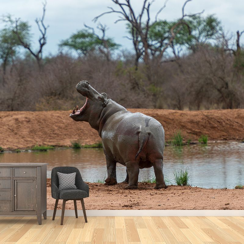 Photography Mural Wall Decor Hippo Mildew Resistant Living Room Wall Mural Wall Art