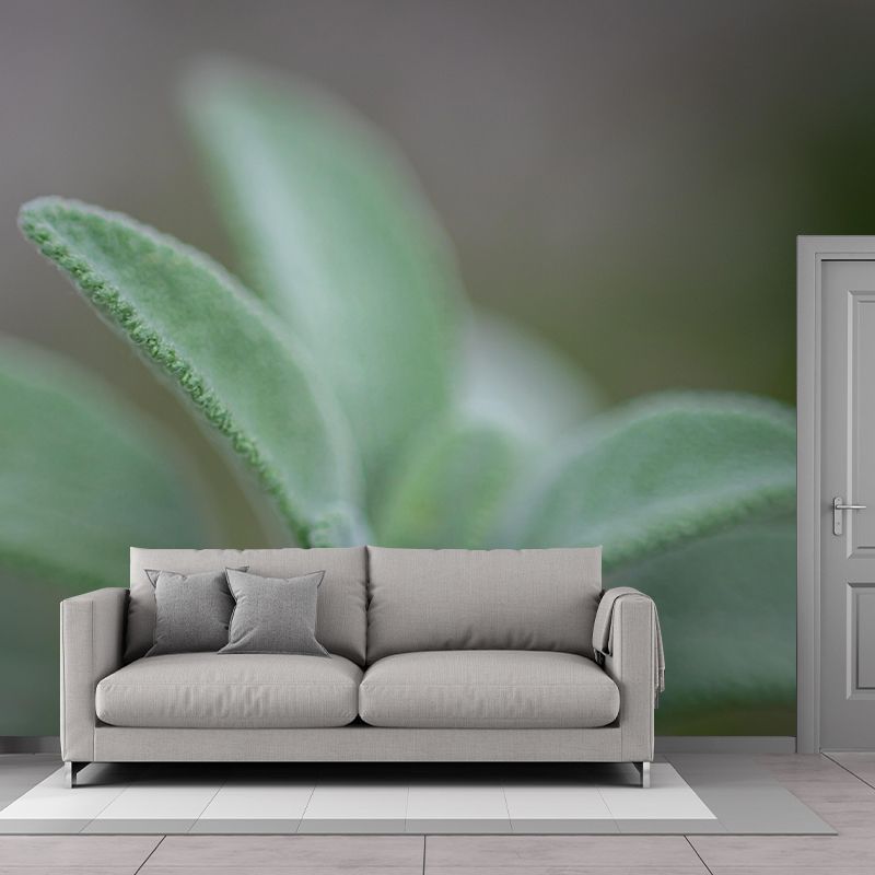 Herb Painting Mural Decal Modern Mildew Resistant Wall Covering for Decoration