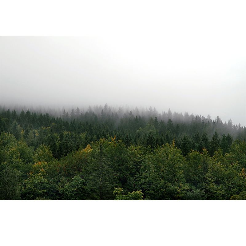 Forest Mildew Resistant Decorative Murals Bedroom Wall Murals