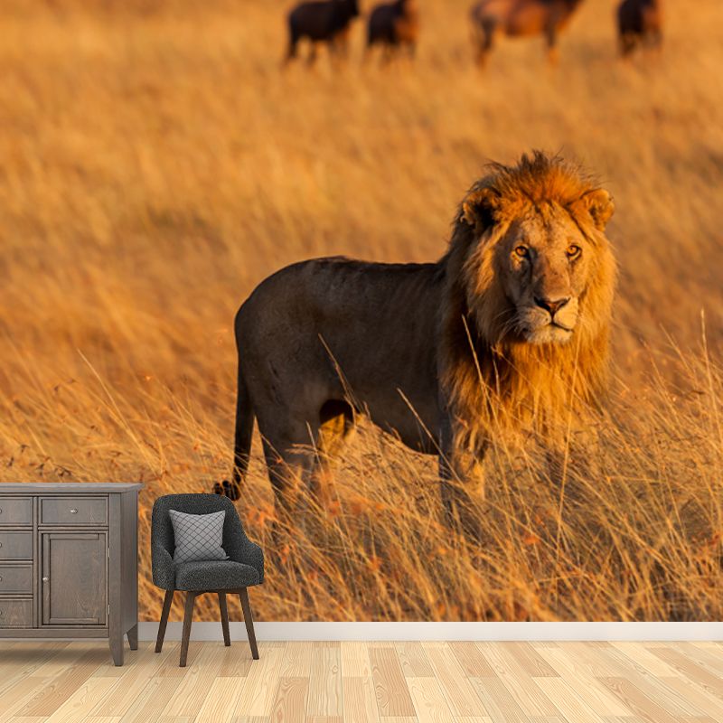Large Wild Animal Mural for Home Savanna Lion with Its Prey Wall Art in Brown, Waterproof