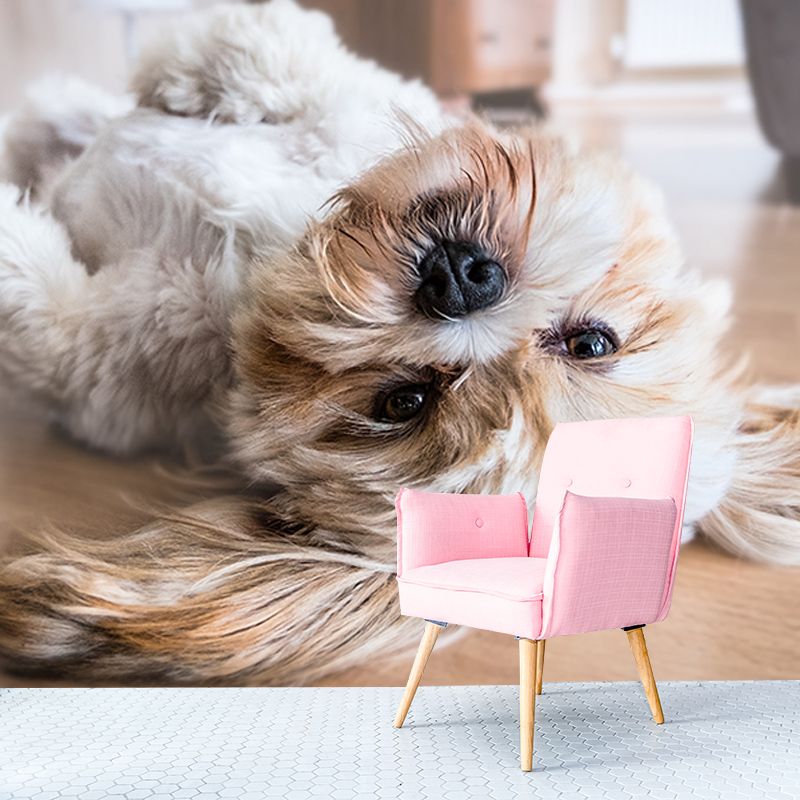 Modern Photography Mural Wallpaper Pet Dog Indoor Wall Mural